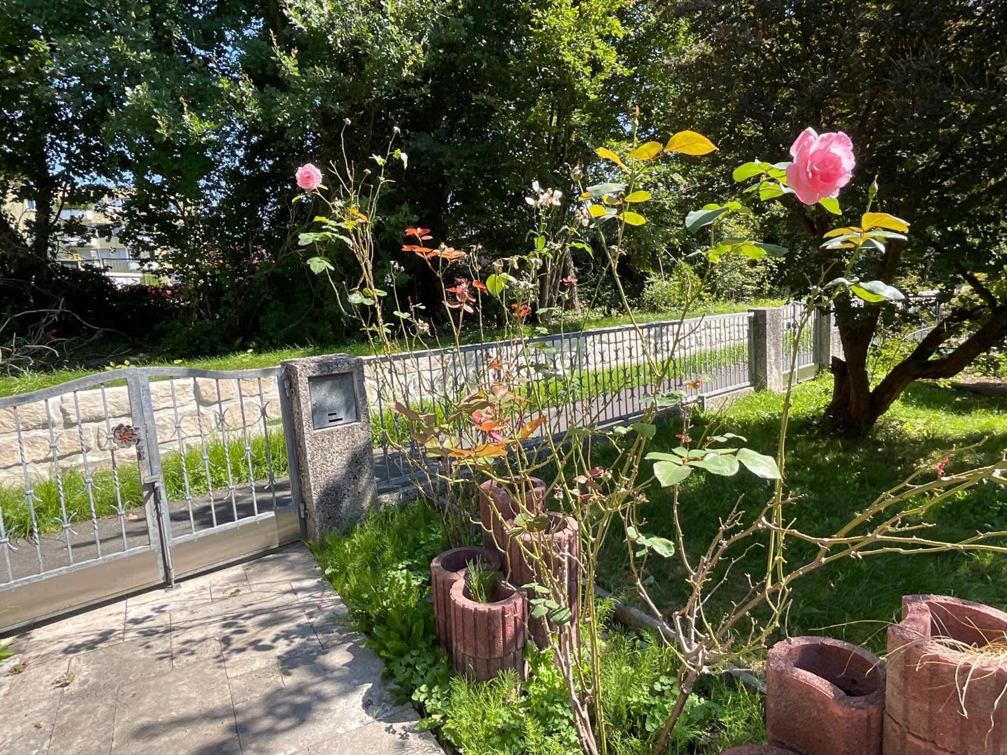 Messe-Apartment, 4 Schlafzimmer, 80 Qm, Garten - 6 Km Zur Messe, Verkehrsguenstig, Ruhig, Parkplaetze Norimberga Esterno foto